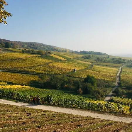 Ferienloft In Der Blauen Scheune Lejlighed *