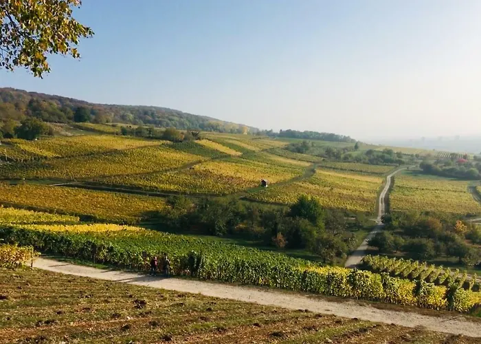 Ferienloft In Der Blauen Scheune Апартаменты *